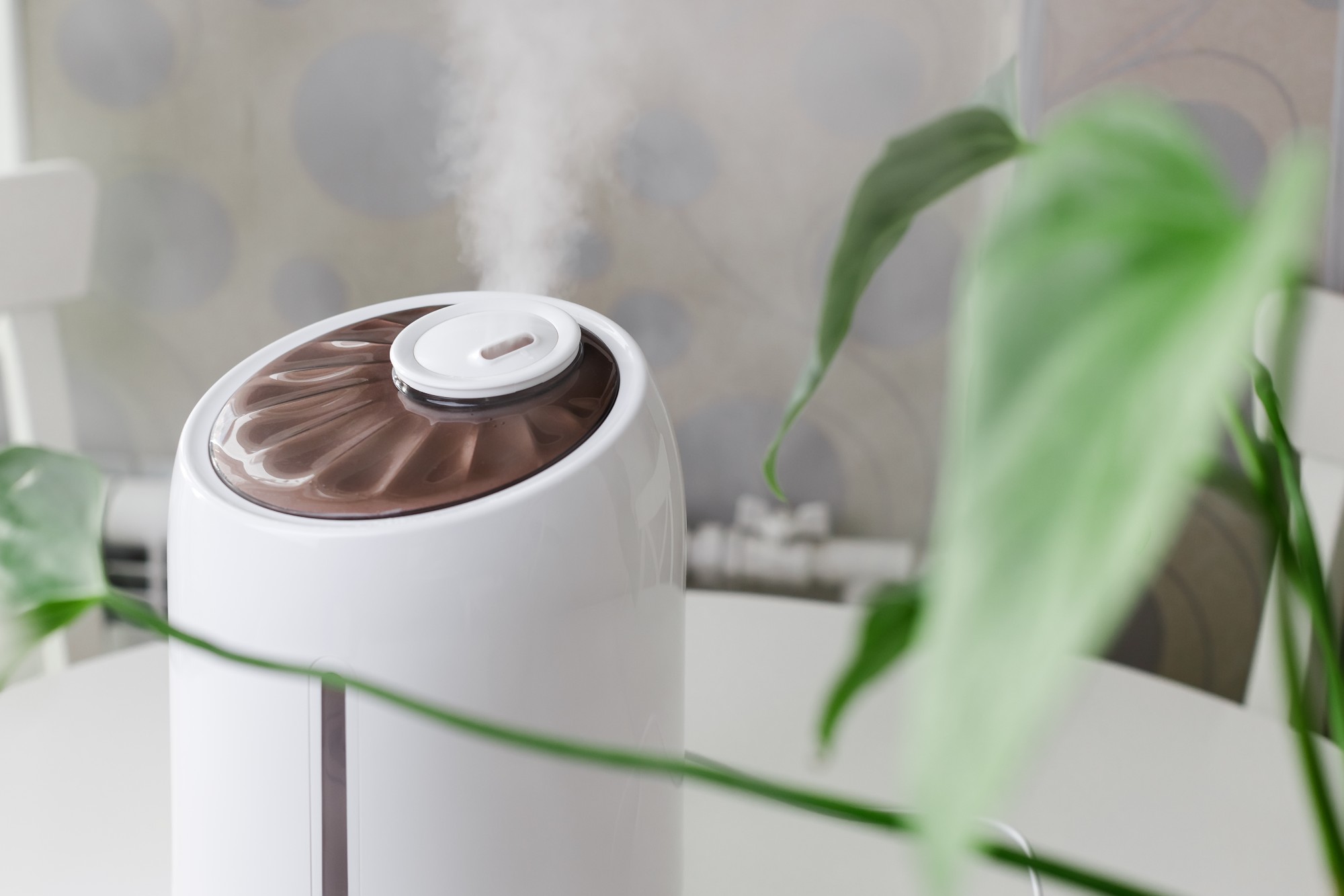 14 Amazing Basement Dehumidifiers For Home For 2023