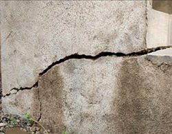 Protecting Your Home From Drought